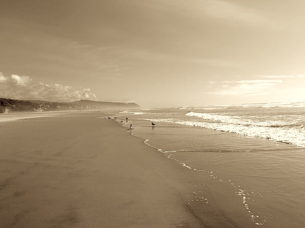 Oregon Coast Memoir: Blue Skies, Warm Sunshine, Family, and Friends